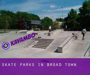 Skate Parks in Broad Town