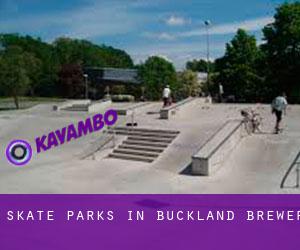 Skate Parks in Buckland Brewer