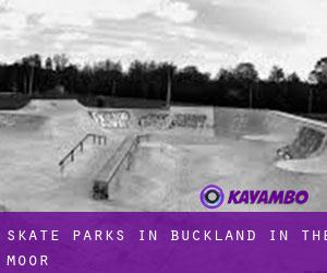 Skate Parks in Buckland in the Moor
