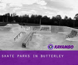 Skate Parks in Butterley