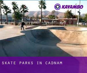 Skate Parks in Cadnam