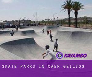 Skate Parks in Cae'r-geiliog