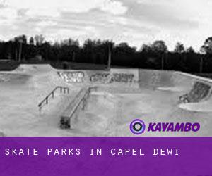 Skate Parks in Capel Dewi