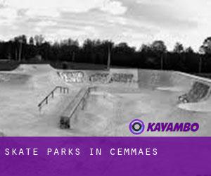 Skate Parks in Cemmaes
