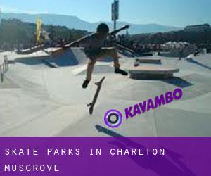Skate Parks in Charlton Musgrove