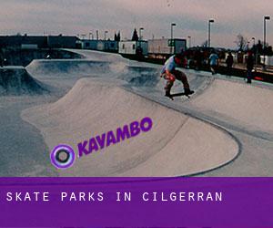 Skate Parks in Cilgerran
