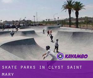 Skate Parks in Clyst Saint Mary
