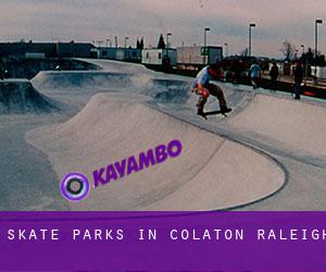 Skate Parks in Colaton Raleigh