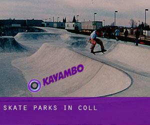 Skate Parks in Coll