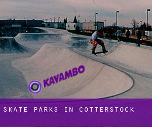 Skate Parks in Cotterstock