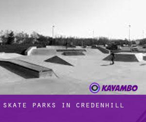 Skate Parks in Credenhill