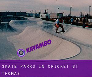 Skate Parks in Cricket St Thomas