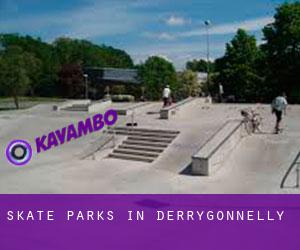 Skate Parks in Derrygonnelly