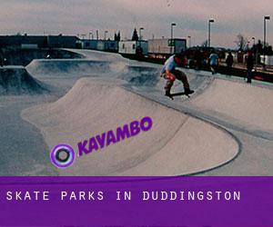 Skate Parks in Duddingston