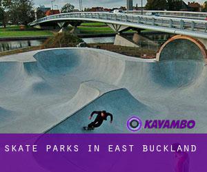 Skate Parks in East Buckland