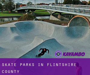 Skate Parks in Flintshire County