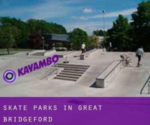 Skate Parks in Great Bridgeford