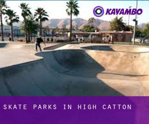 Skate Parks in High Catton