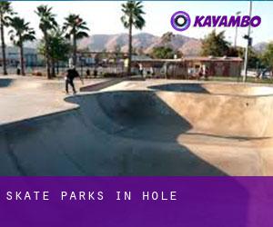 Skate Parks in Hole Skate Parks in Hole