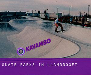 Skate Parks in Llanddoget