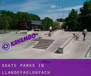 Skate Parks in Llandefaelogfâch