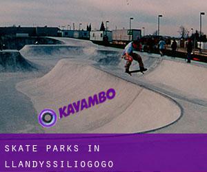 Skate Parks in Llandyssiliogogo