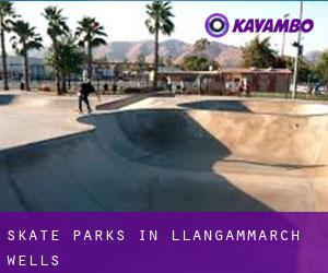 Skate Parks in Llangammarch Wells