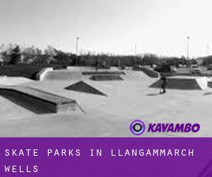 Skate Parks in Llangammarch Wells