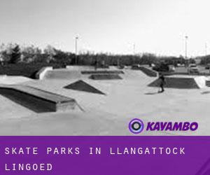 Skate Parks in Llangattock Lingoed