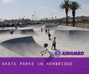 Skate Parks in Newbridge