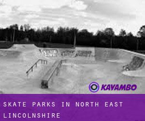 Skate Parks in North East Lincolnshire