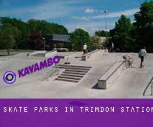 Skate Parks in Trimdon Station