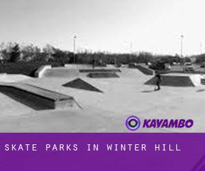 Skate Parks in Winter Hill