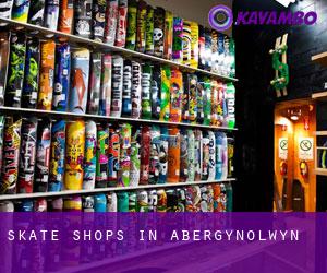 Skate Shops in Abergynolwyn