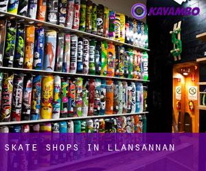 Skate Shops in Llansannan