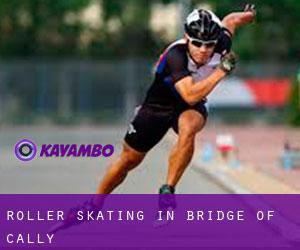 Roller Skating in Bridge of Cally