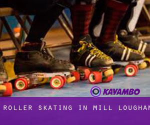 Roller Skating in Mill Loughan