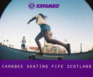 Carnbee skating (Fife, Scotland)