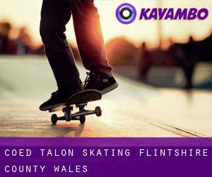 Coed-Talon skating (Flintshire County, Wales)