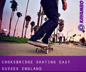 Cooksbridge skating (East Sussex, England)