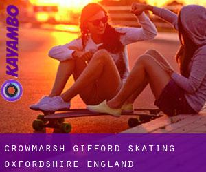 Crowmarsh Gifford skating (Oxfordshire, England)