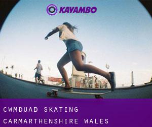 Cwmduad skating (Carmarthenshire, Wales)