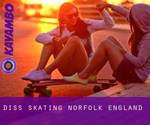 Diss skating (Norfolk, England)