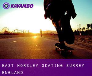 East Horsley skating (Surrey, England)