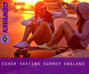 Esher skating (Surrey, England)