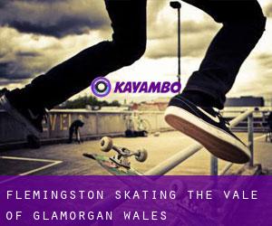 Flemingston skating (The Vale of Glamorgan, Wales)