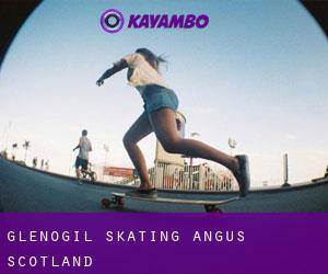 Glenogil skating (Angus, Scotland)