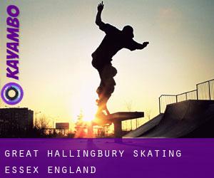 Great Hallingbury skating (Essex, England)