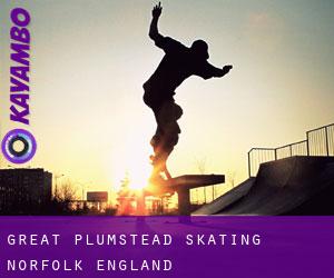 Great Plumstead skating (Norfolk, England)