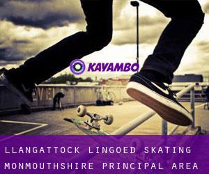Llangattock Lingoed skating (Monmouthshire principal area, Wales)